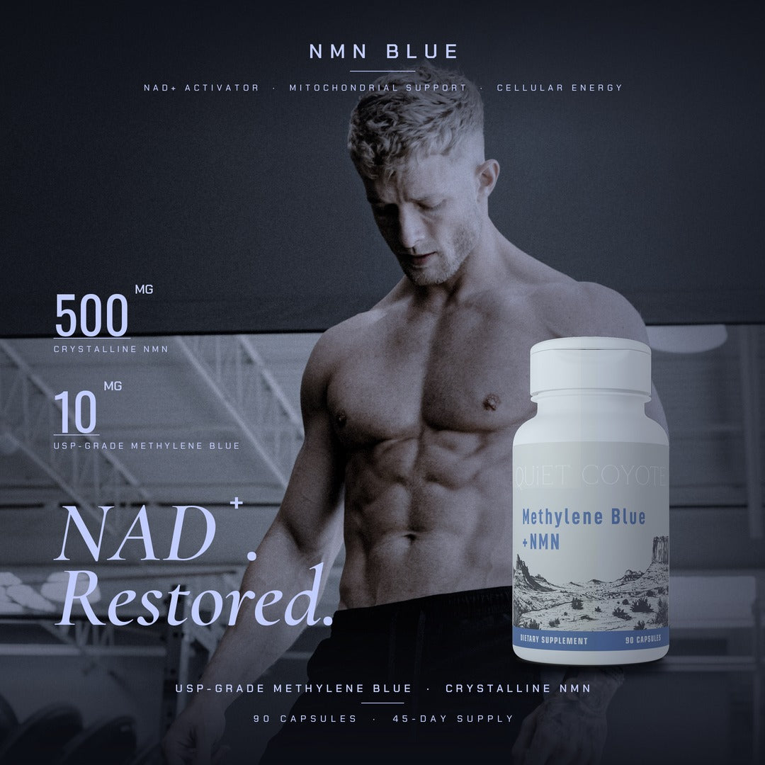 NMN WITH METHYLENE BLUE
